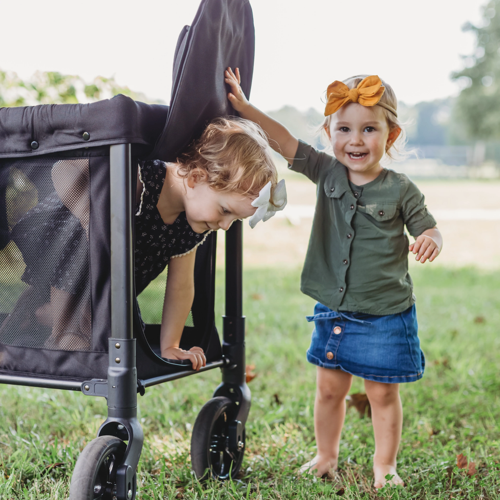 Wonderfold W2 Original Stroller Wagon