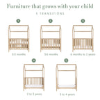 Tutti Bambini Casa 3 in 1 Cot Bed 120 x 60cm - Harvest Oak