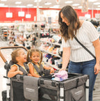 Wonderfold Collapsible Shopping Basket | W2/W4 Models