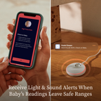 NEW Owlet Dream Duo™- Dusty Rose (Sock + Sight)