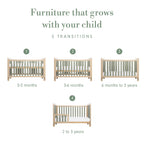 Tutti Bambini Kuba Cot Bed - Pickled Oak / Sage Weave