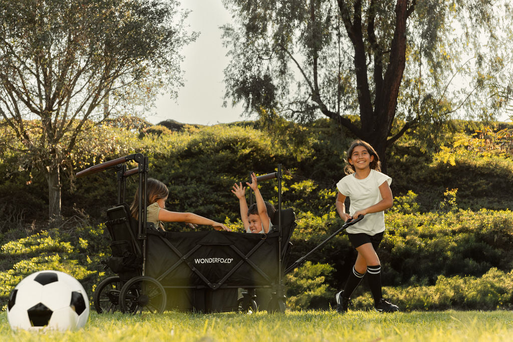 Wonderfold X4R Stroller Wagon
