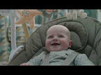BabyStyle Oyster Home Swing - Carbonite 8