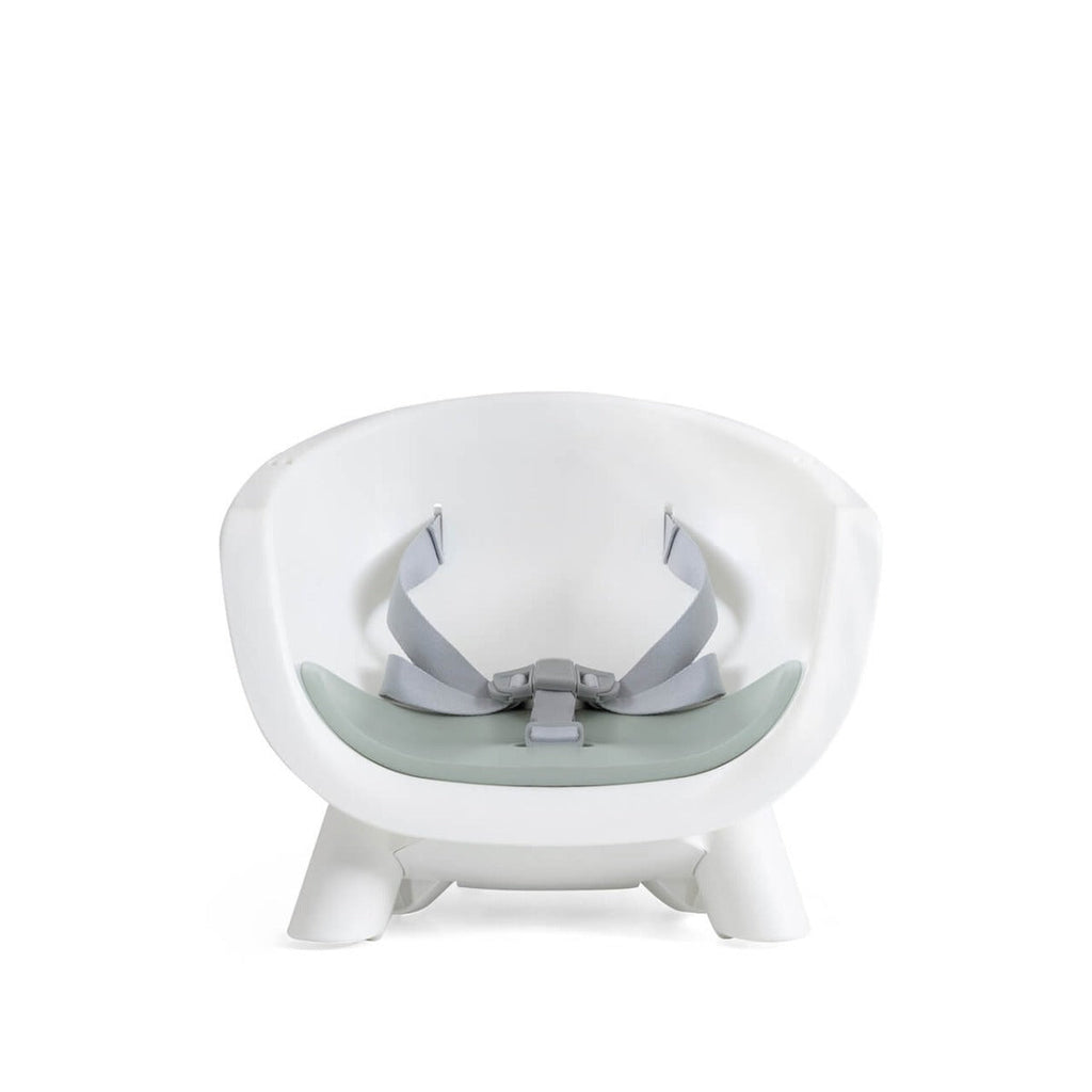 Joie Chestnut 9-in-1 Highchair - Mist 12