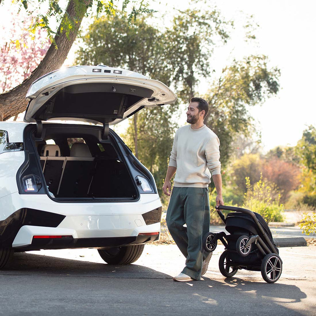 Nuna MIXX Next with ARRA Flex & Base Curv Travel System Bundle - Cosmopolitan
