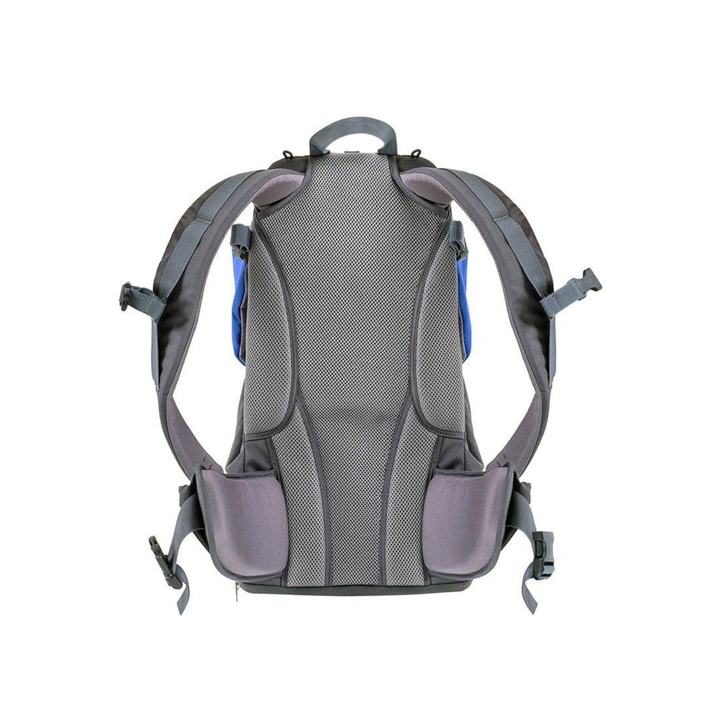 Phil & Teds Parade Baby Carrier - Blue