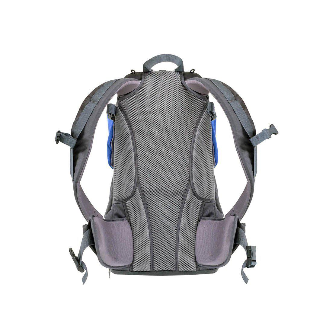 Phil & Teds Parade Baby Carrier - Blue