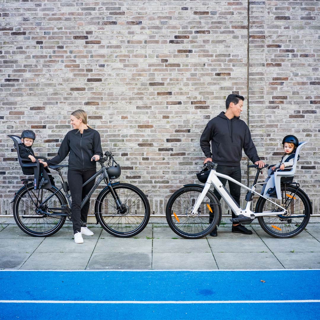 Thule  Ride Along 2 - Dark Grey